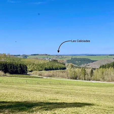 Les Caliciades 3 A Gros-fays Bièvre